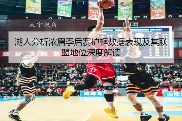 湖人分析浓眉季后赛护框数据表现及其联盟地位深度解读